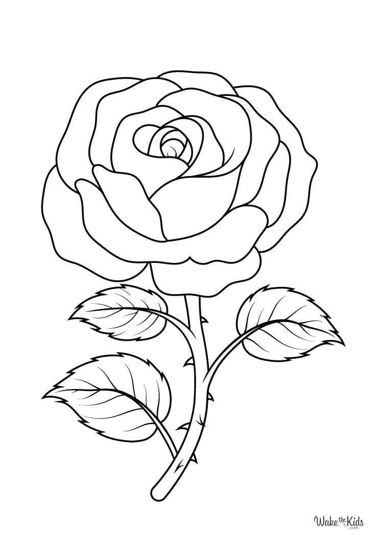 Rose Coloring Pages Free Printable PDFs WakeTheKids Rose Coloring Pages Free Printable PDFs WakeTheKids