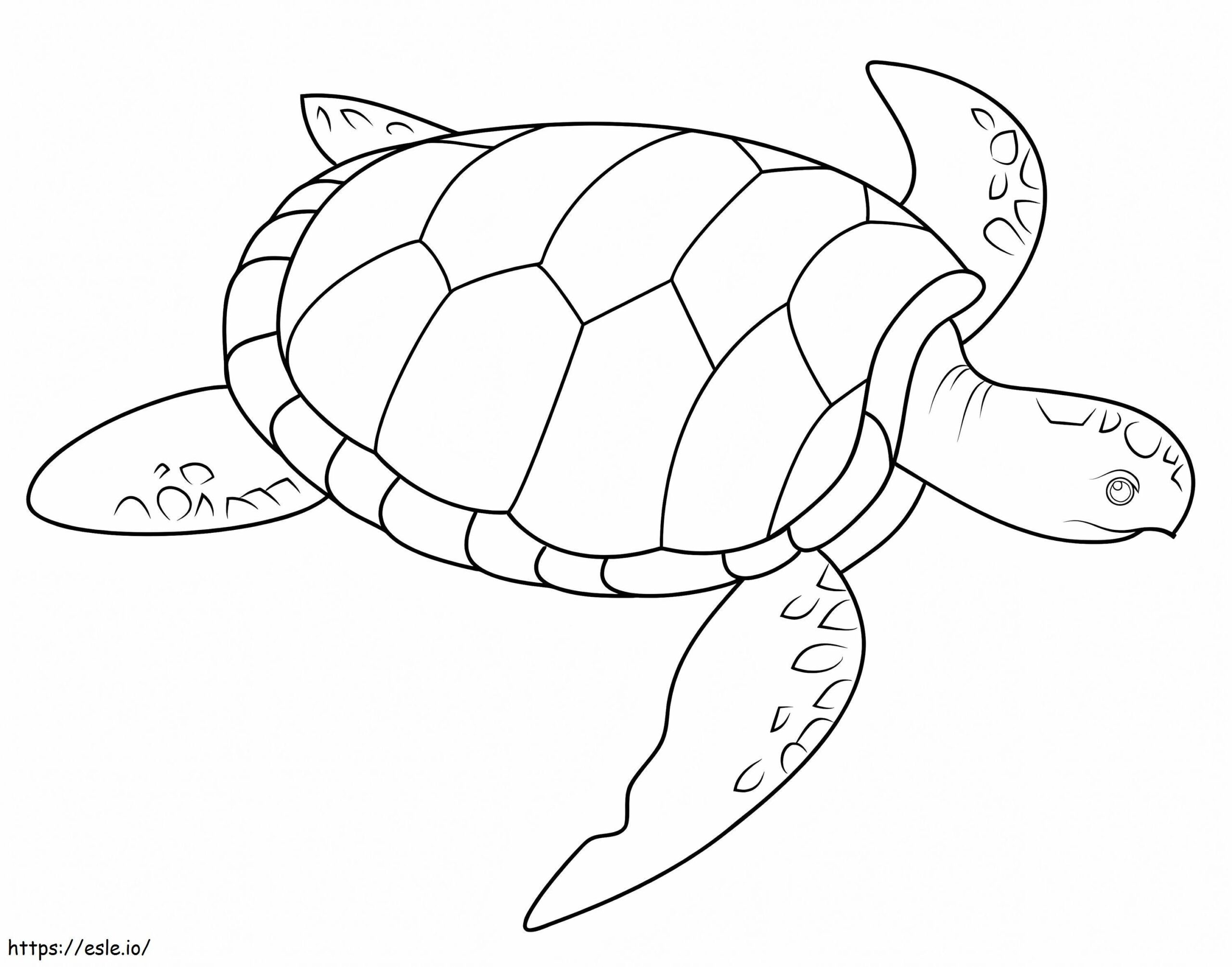 Sea Turtle Coloring Page Sea Turtle Coloring Page