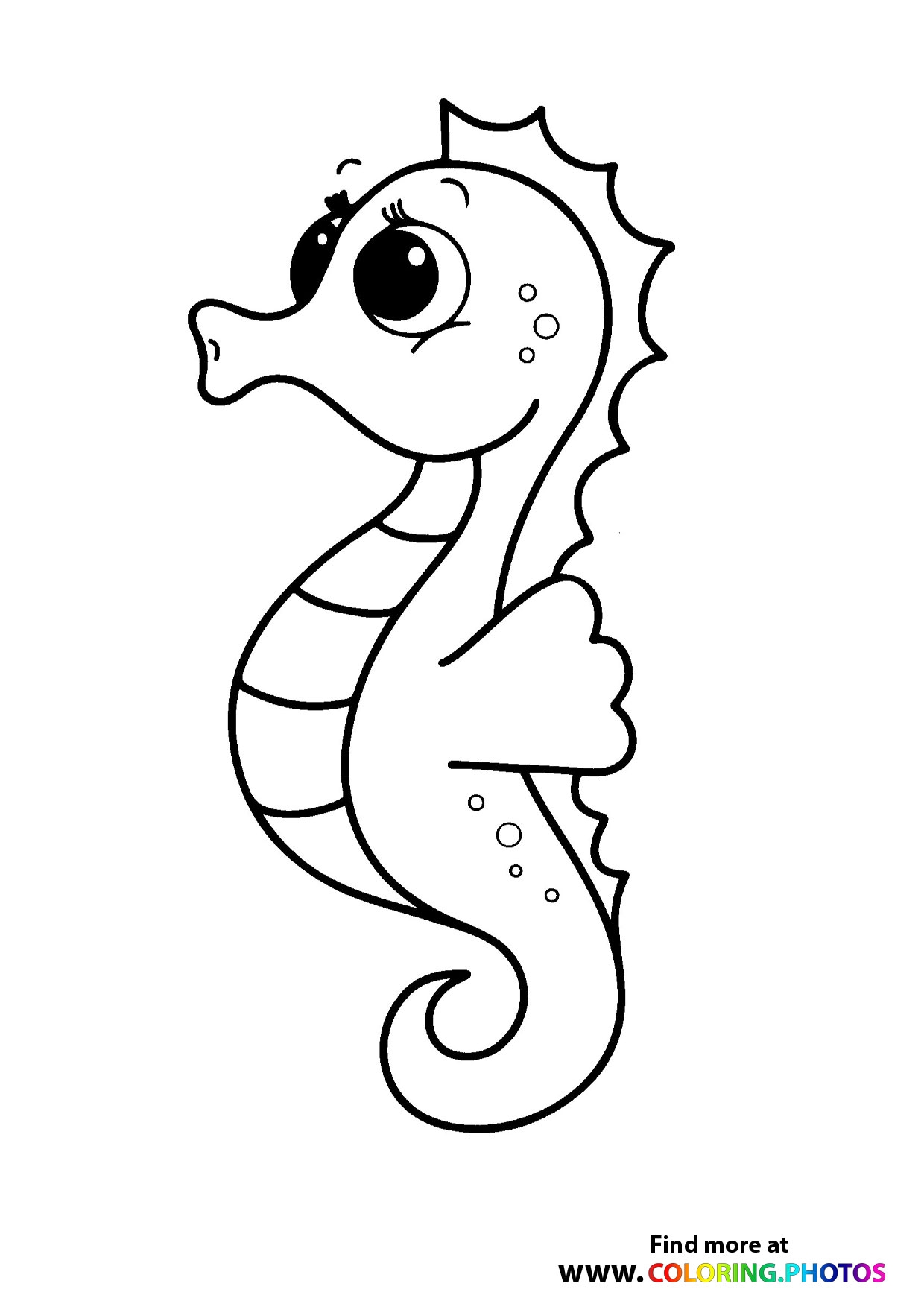 Seahorses Coloring Pages For Kids Seahorses Coloring Pages For Kids