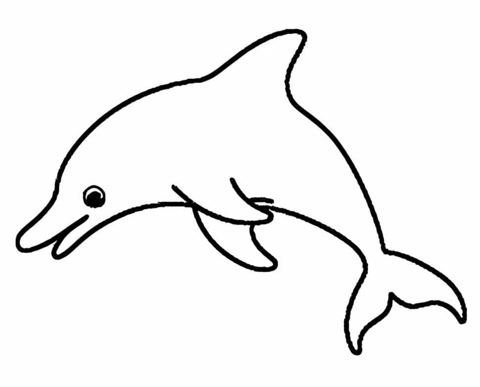 Simple Dolphin Coloring Page Download Print Or Color Online For Free Simple Dolphin Coloring Page Download Print Or Color Online For Free