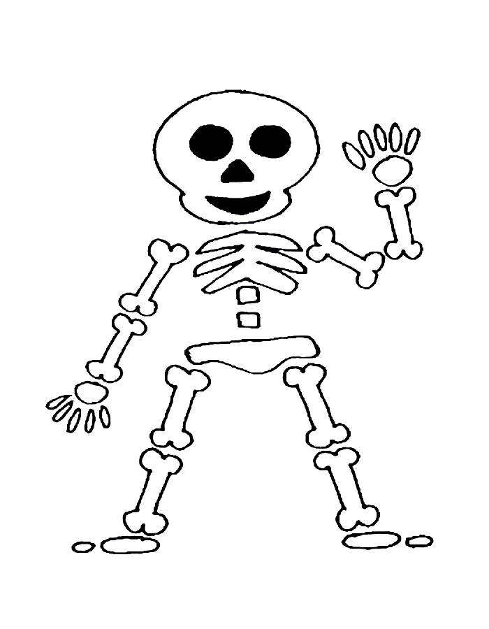 Skeleton Coloring Pages Free Printable PDF Skeleton Coloring Pages Free Printable PDF