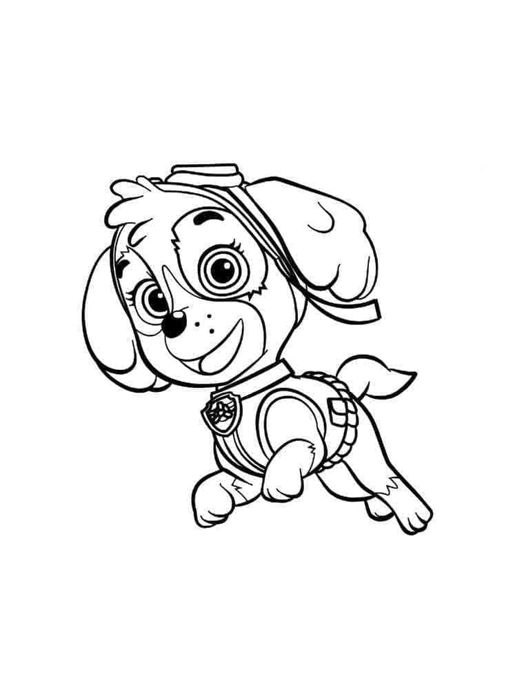 Skye Paw Patrol Image Coloring Page Download Print Or Color Online Skye Paw Patrol Image Coloring Page Download Print Or Color Online