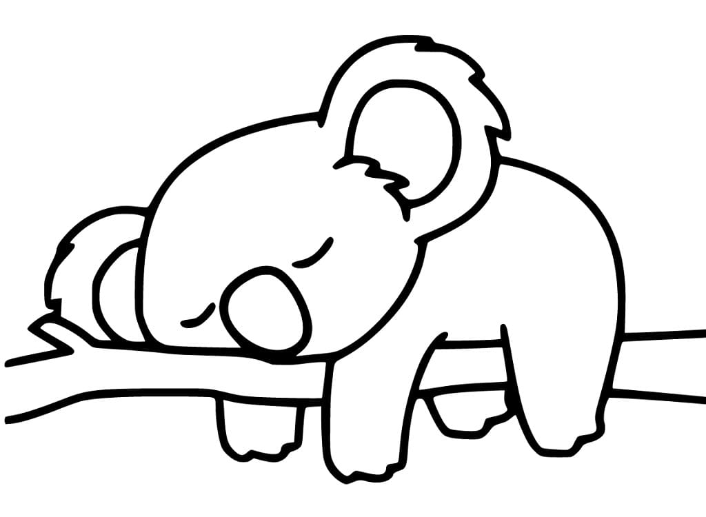Sleeping Koala Coloring Page Download Print Or Color Online For Free