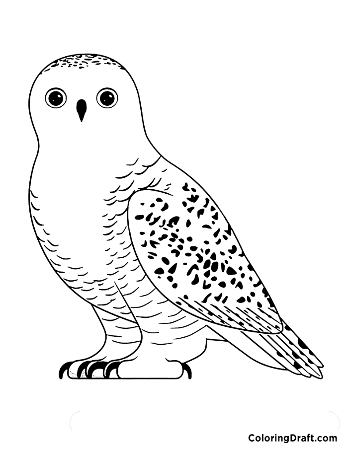 Snowy Owl Coloring Pages ColoringDraft Snowy Owl Coloring Pages ColoringDraft