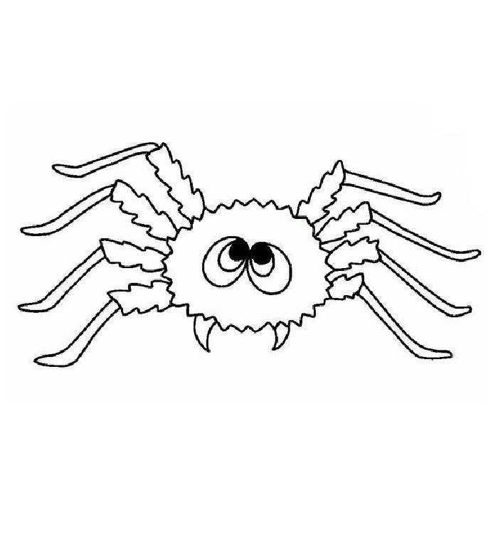 Spider Coloring Pages Free Printable PDF Spider Coloring Pages Free Printable PDF