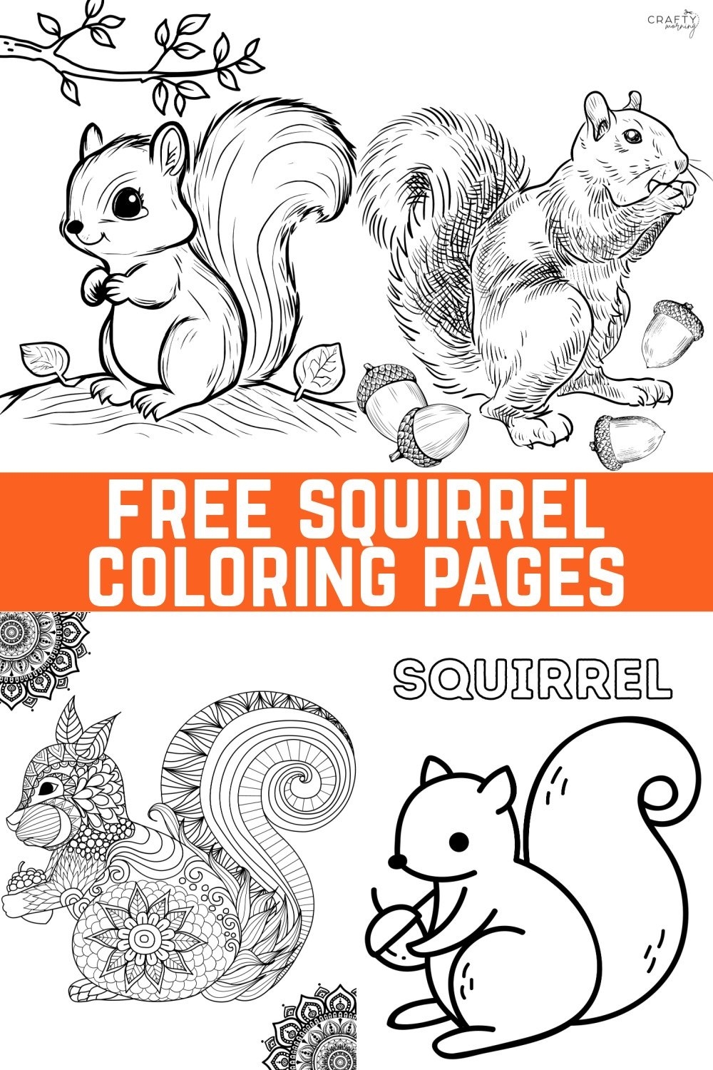 squirrel coloring page squirrel coloring page
