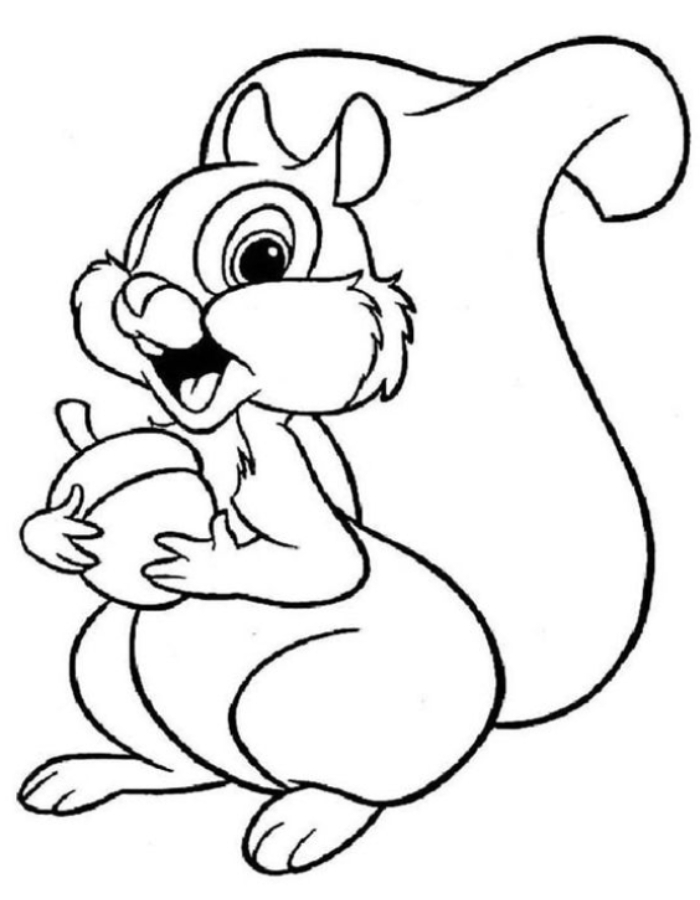 Squirrel Coloring Pages Free Printable PDF