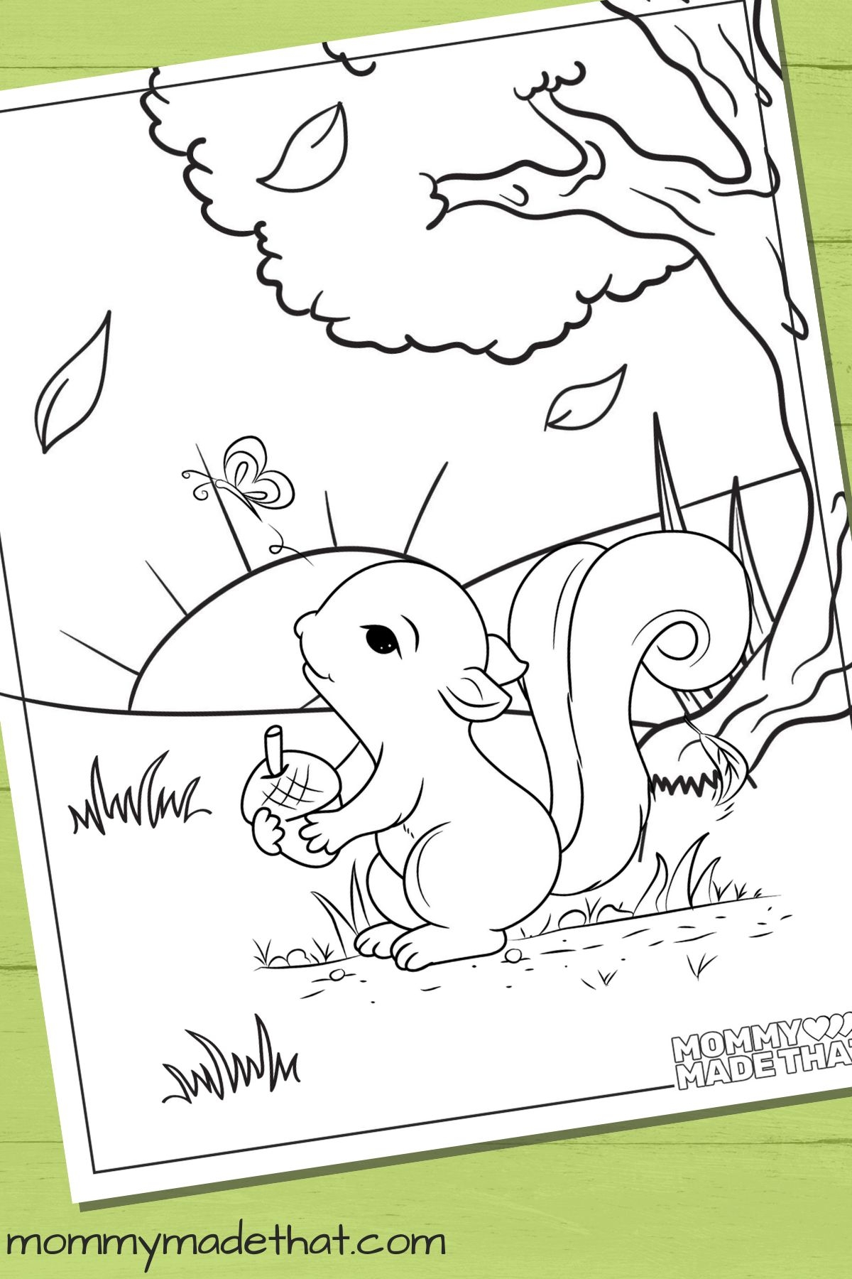 Squirrel Coloring Pages Squirrel Coloring Pages