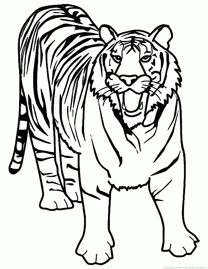Tiger Coloring Pages Part 2 Tiger Coloring Pages Part 2