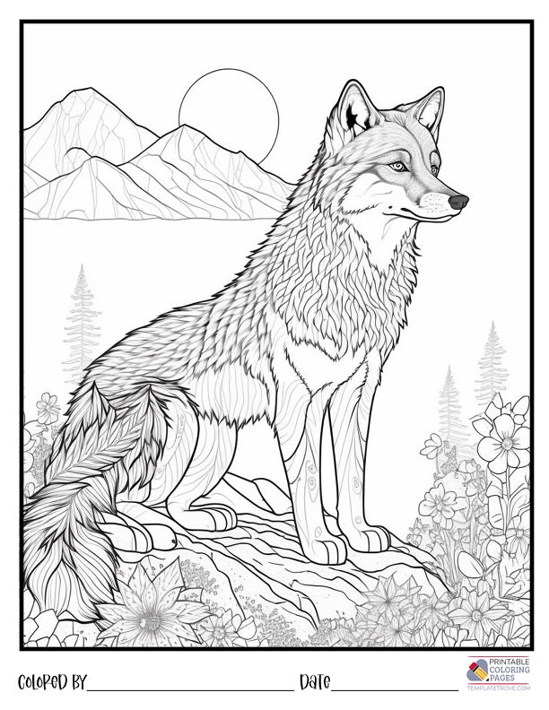 Wolves Coloring Pages Wolves Coloring Pages