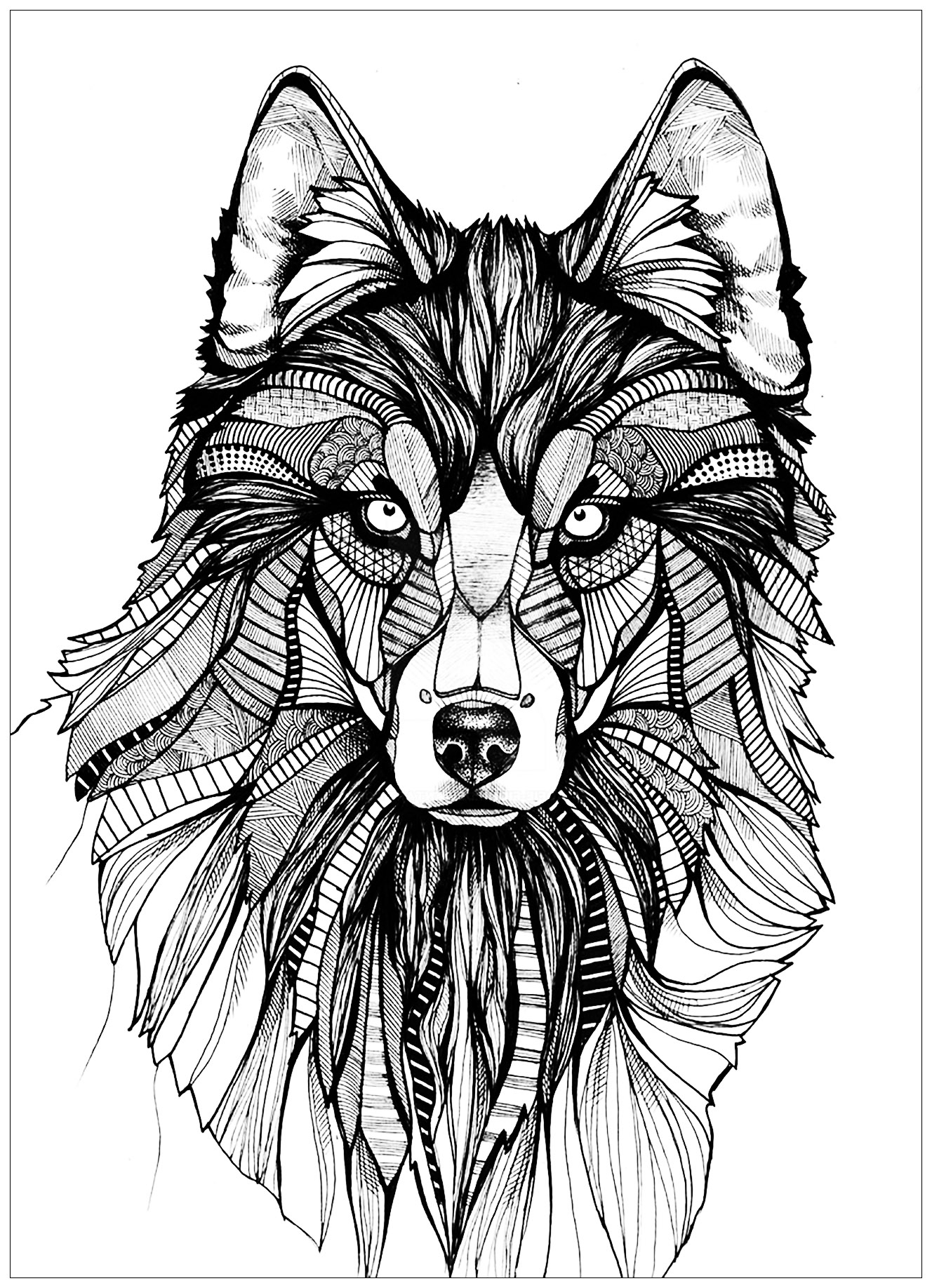 coloring pages of wolves coloring pages of wolves