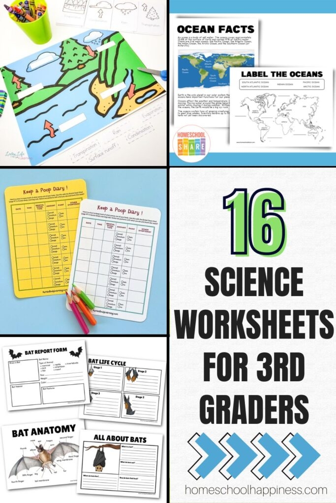 3rd Grade Science Worksheets For Engaging Science Learning