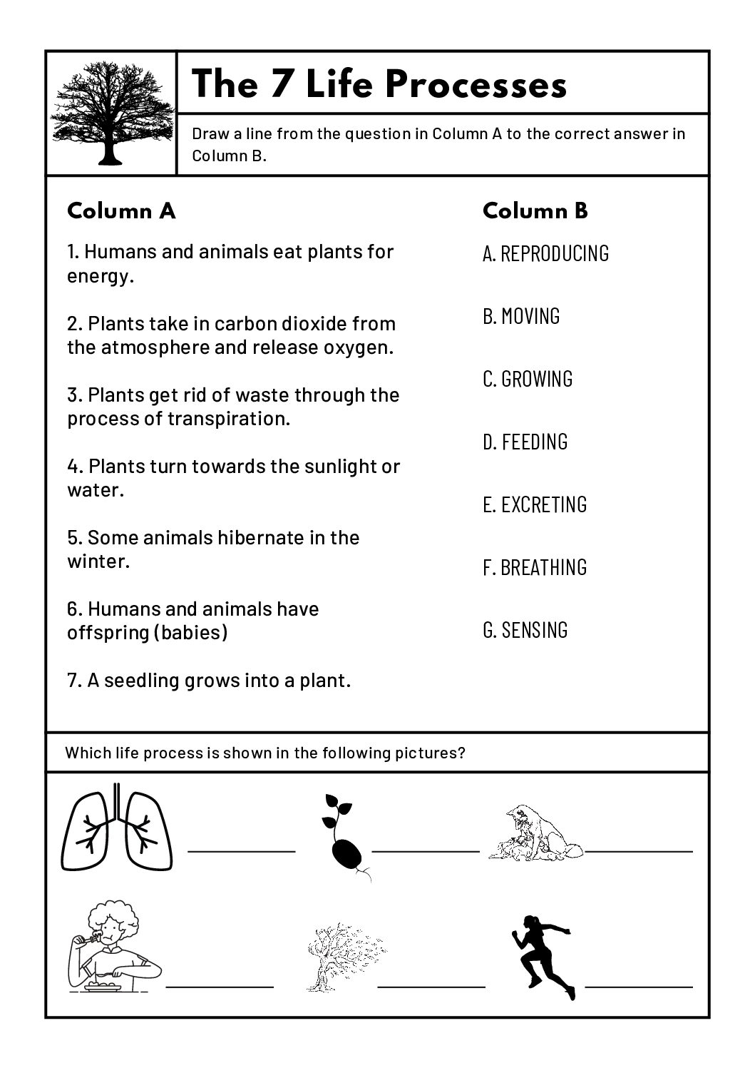 4th Grade Science Worksheet Natural Sciences Technology Grade 4 