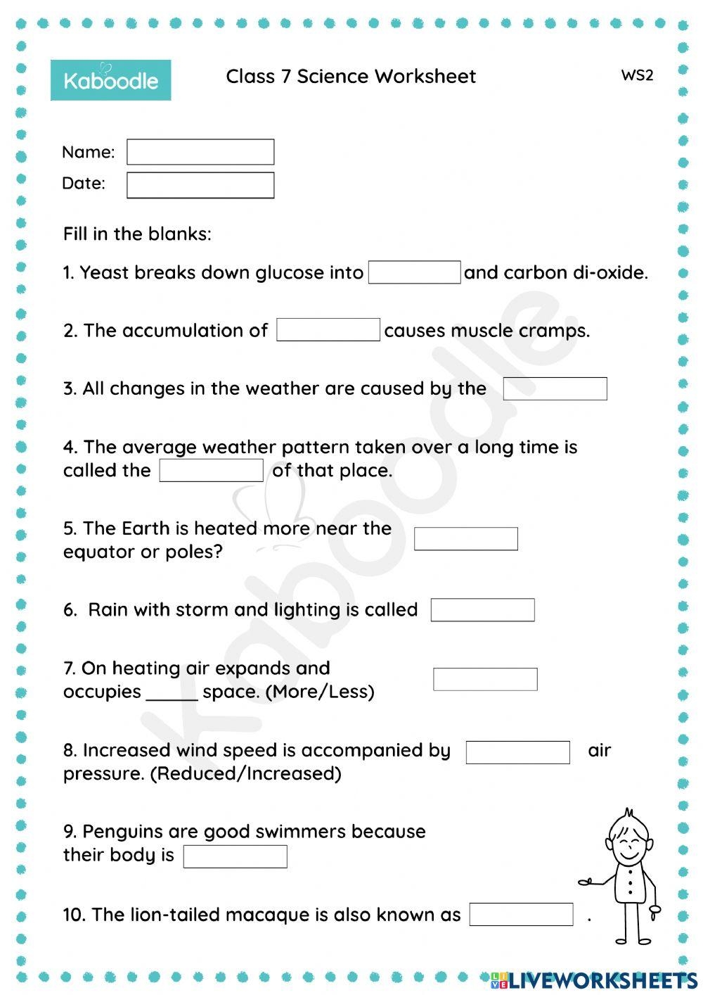 7th Grade Science Worksheet Printable