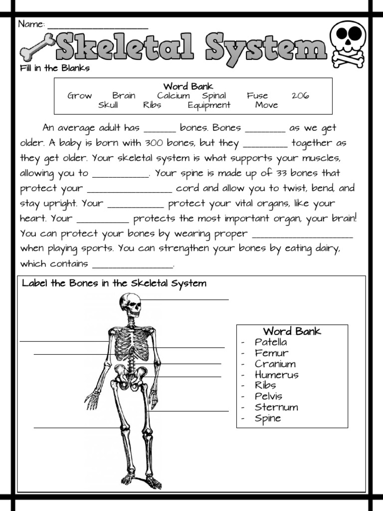 skeletal system worksheet