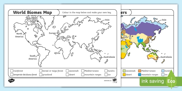 biome map coloring worksheet biome map coloring worksheet