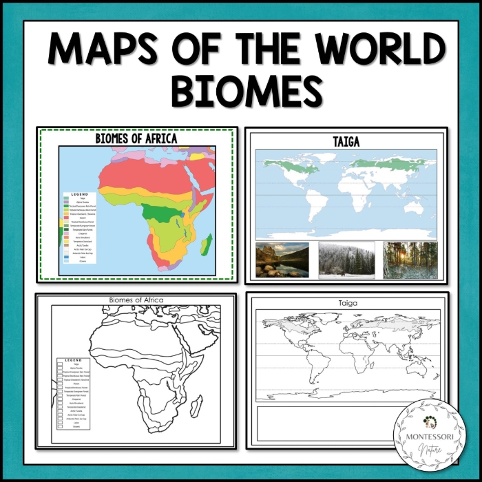 Biomes Map Worksheet Biomes KS3 Humanities Geography BBC Bitesize Biomes Map Worksheet Biomes KS3 Humanities Geography BBC Bitesize