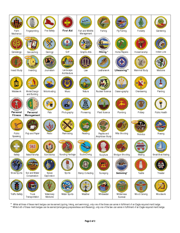 Boy Scout Merit Badge Worksheets Printable Word Searches