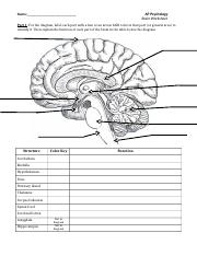 ap psychology brainstorm in color worksheet ap psychology brainstorm in color worksheet