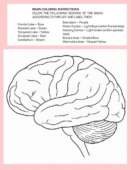 Brainstorm In Color By The Cozy Copy Room TPT Brainstorm In Color By The Cozy Copy Room TPT