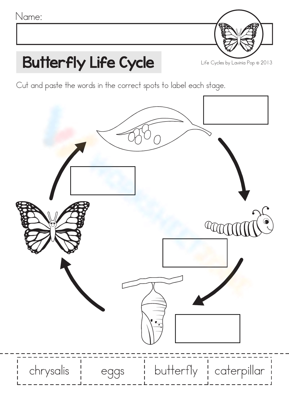 Butterfly Life Cycle Cut And Paste Worksheet By Lemons And Literacy 