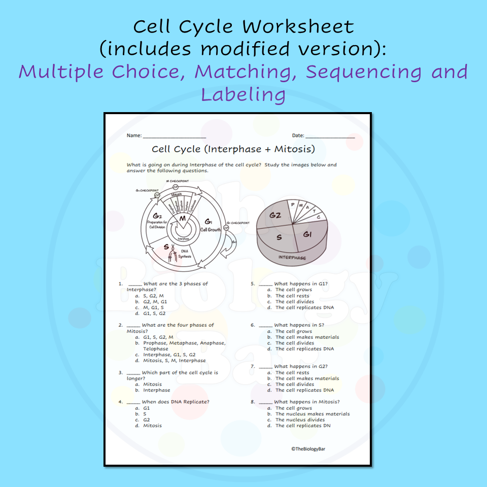 Cell Cycle Worksheet Matching Answers Cell Biology Matching Worksheets Cell Cycle Worksheet Matching Answers Cell Biology Matching Worksheets