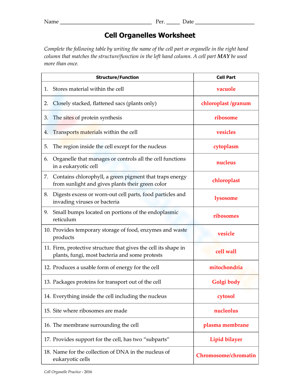 cells and organelles worksheet