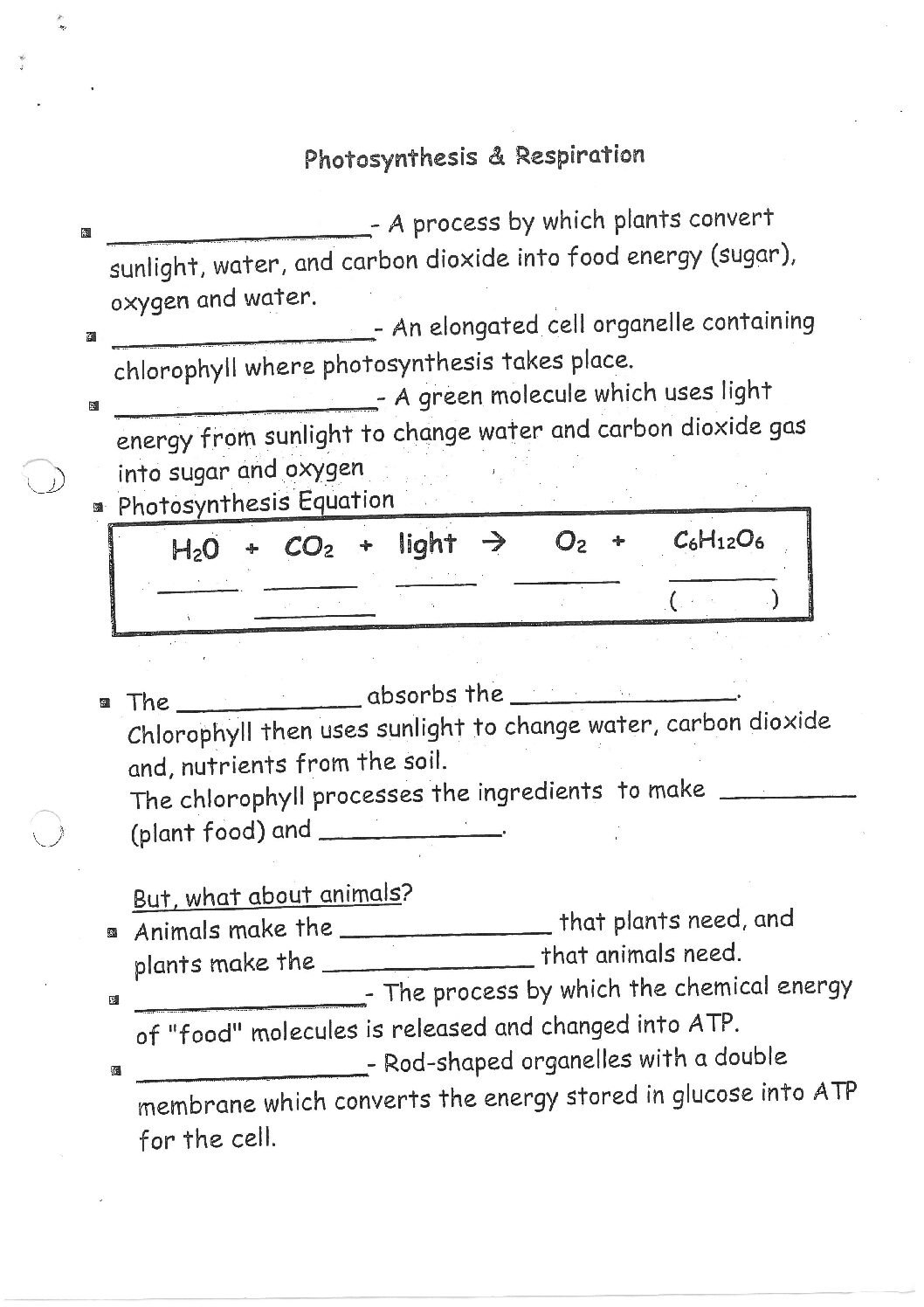 Cellular Respiration Worksheet Pdf Cellular Respiration Worksheet Pdf