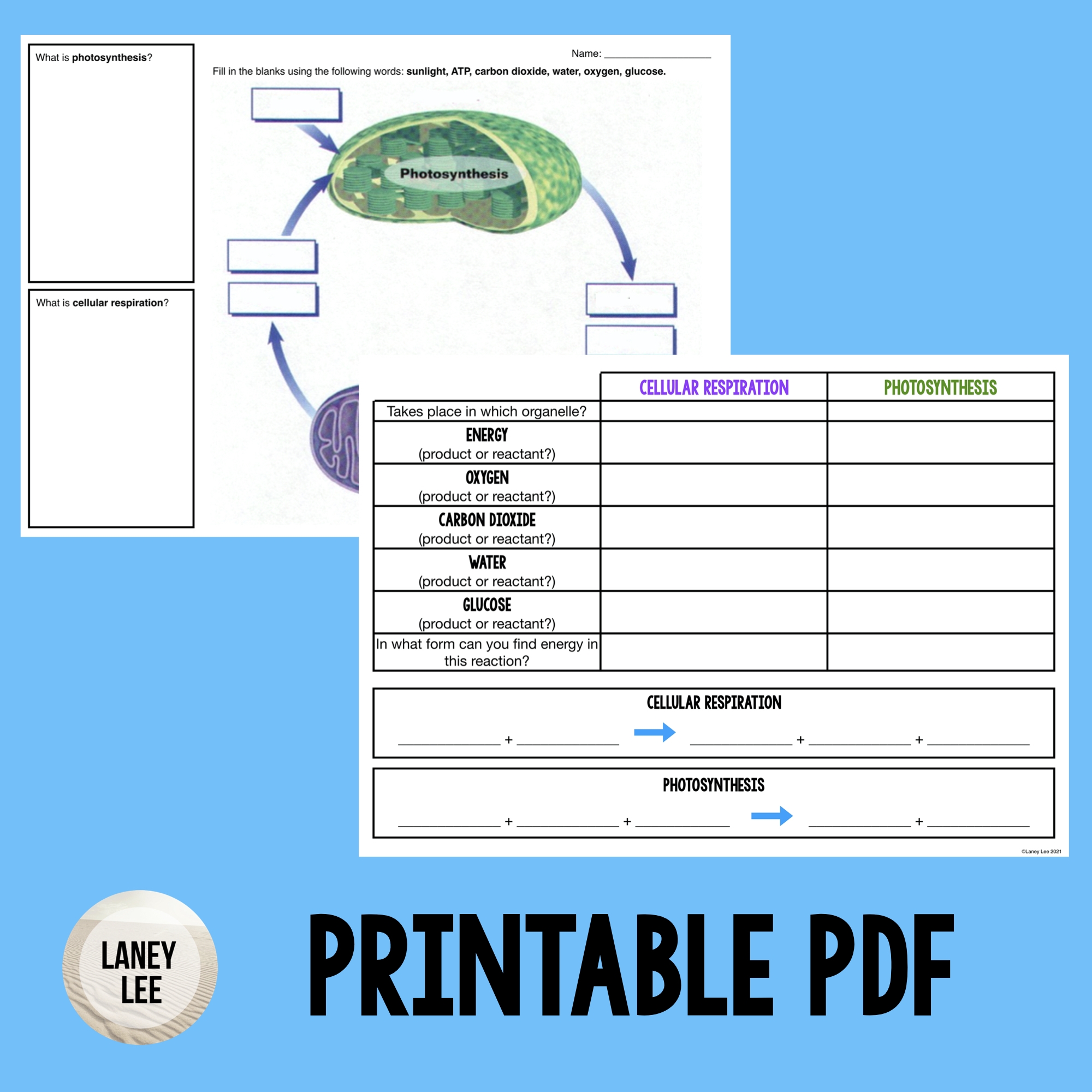 Cellular Respiration Worksheets Cornell Notes For Biology ATP Cellular Respiration Worksheets Cornell Notes For Biology ATP