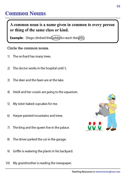 Common Nouns Worksheets Worksheets Library