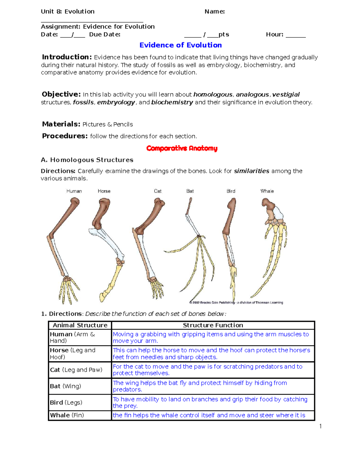 Comparative Anatomy Evidence Of Evolution Lesson Plan At Greg Stone Blog