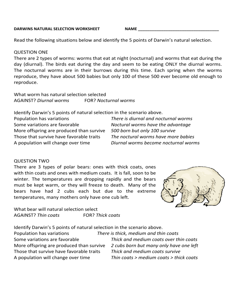 Darwin 39 s Natural Selection Worksheet