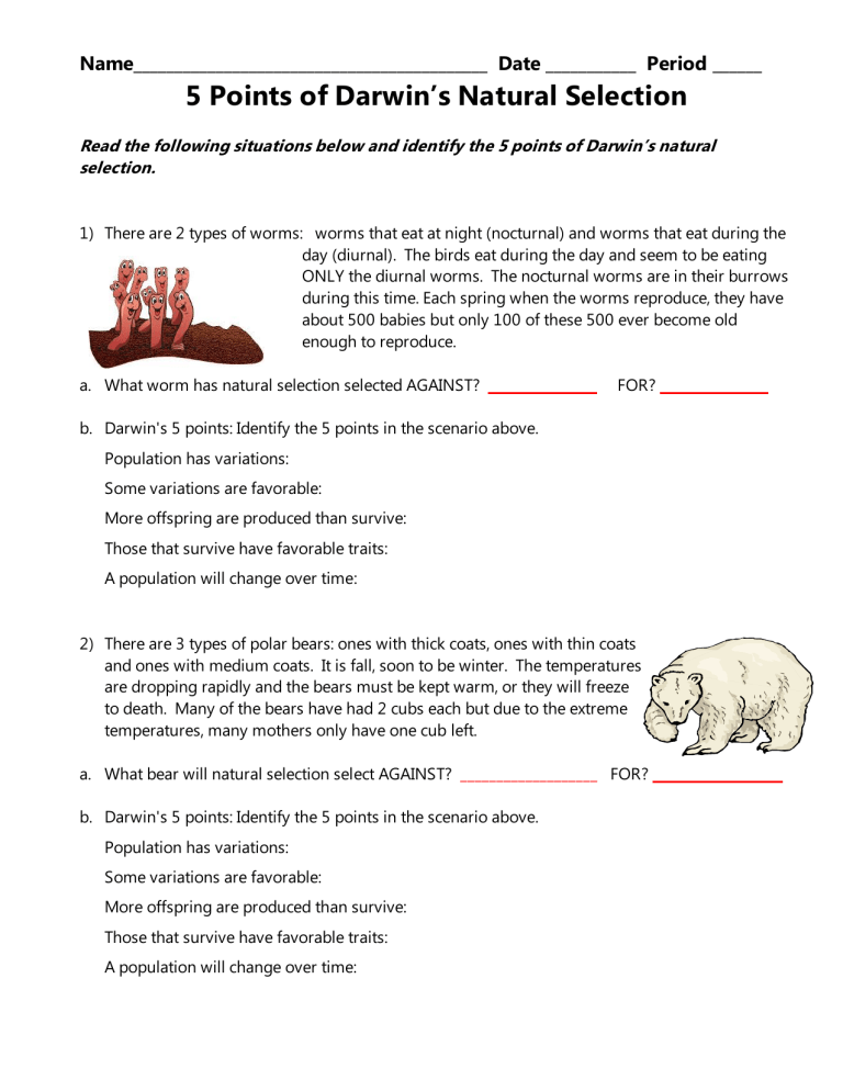 darwin's natural selection worksheet