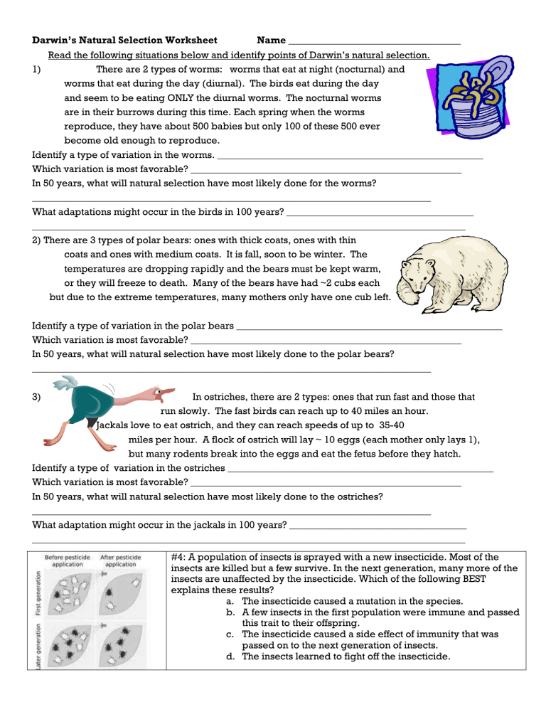 Darwin 39 s Natural Selection Worksheet