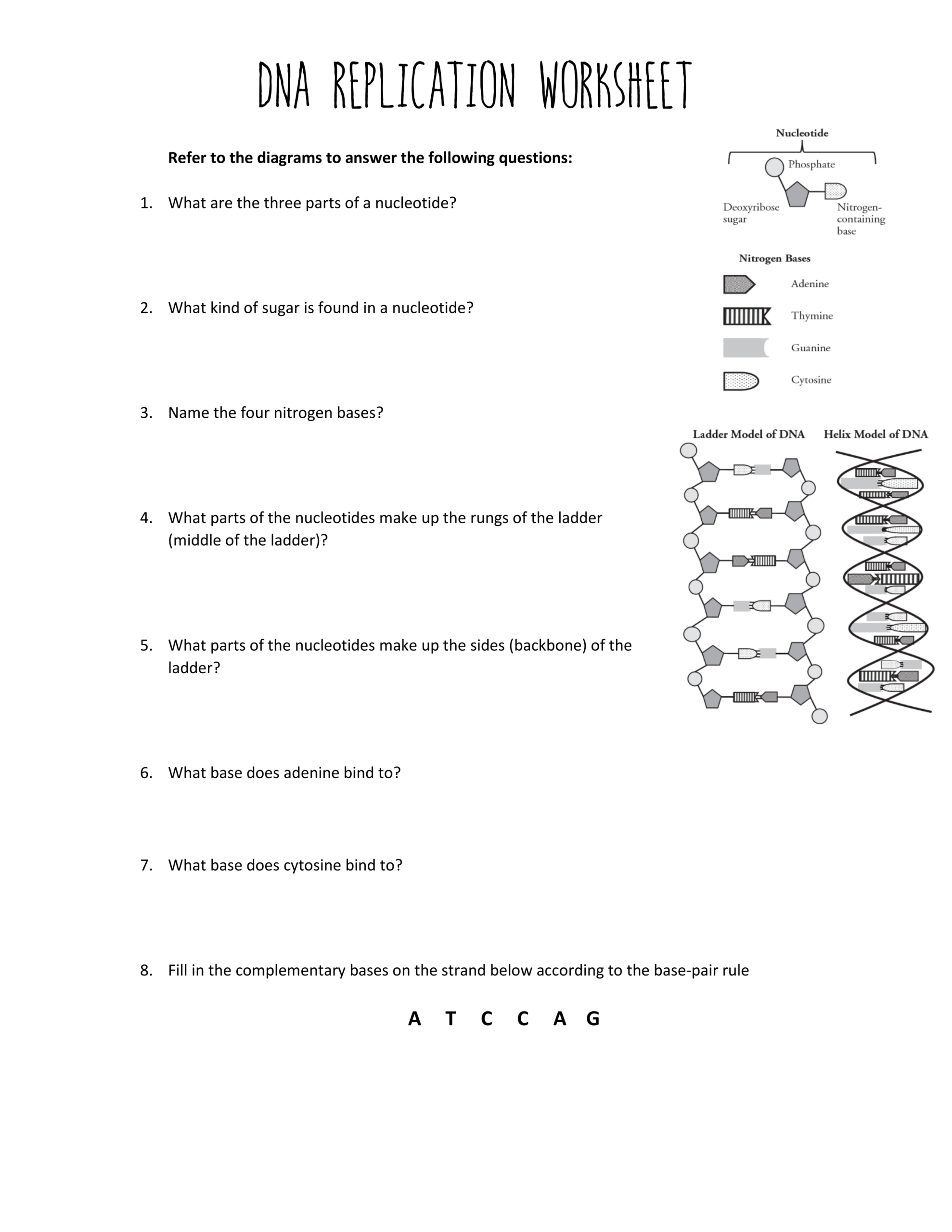 DNA Replication Worksheet Katelyn Owens Library Formative