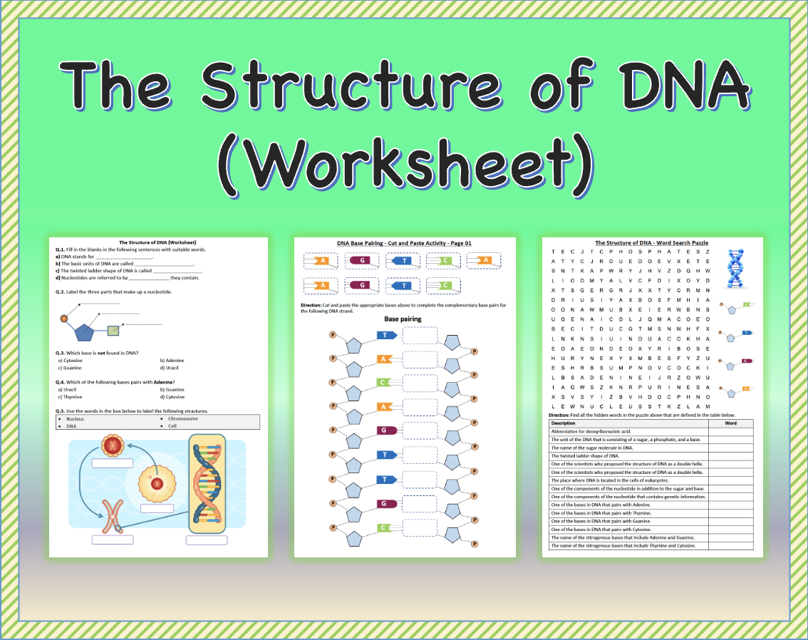 Dna Replication Worksheet Printable Worksheets Dna Replication Worksheet Printable Worksheets