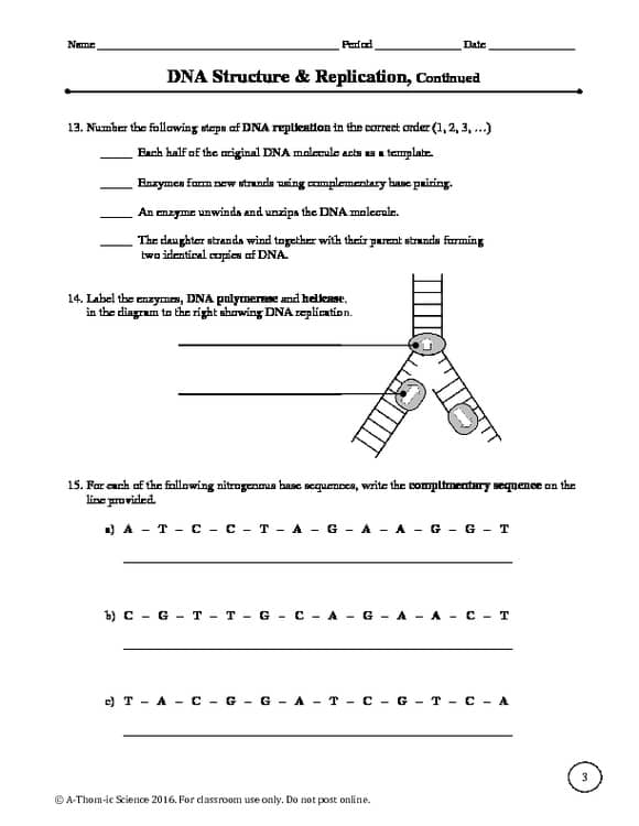DNA Structure And Replication Worksheet By A Thom ic Science TPT DNA Structure And Replication Worksheet By A Thom ic Science TPT