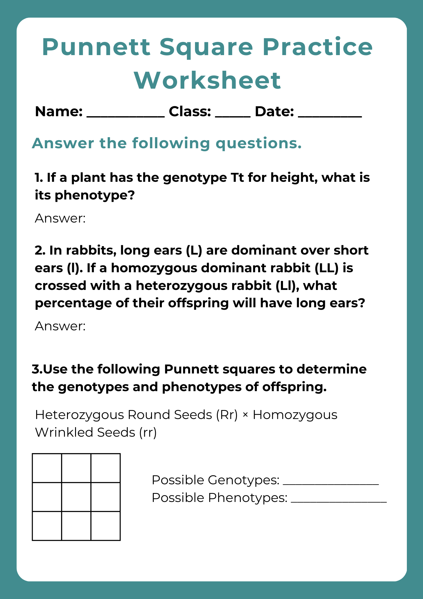 punnett square worksheet practice punnett square worksheet practice