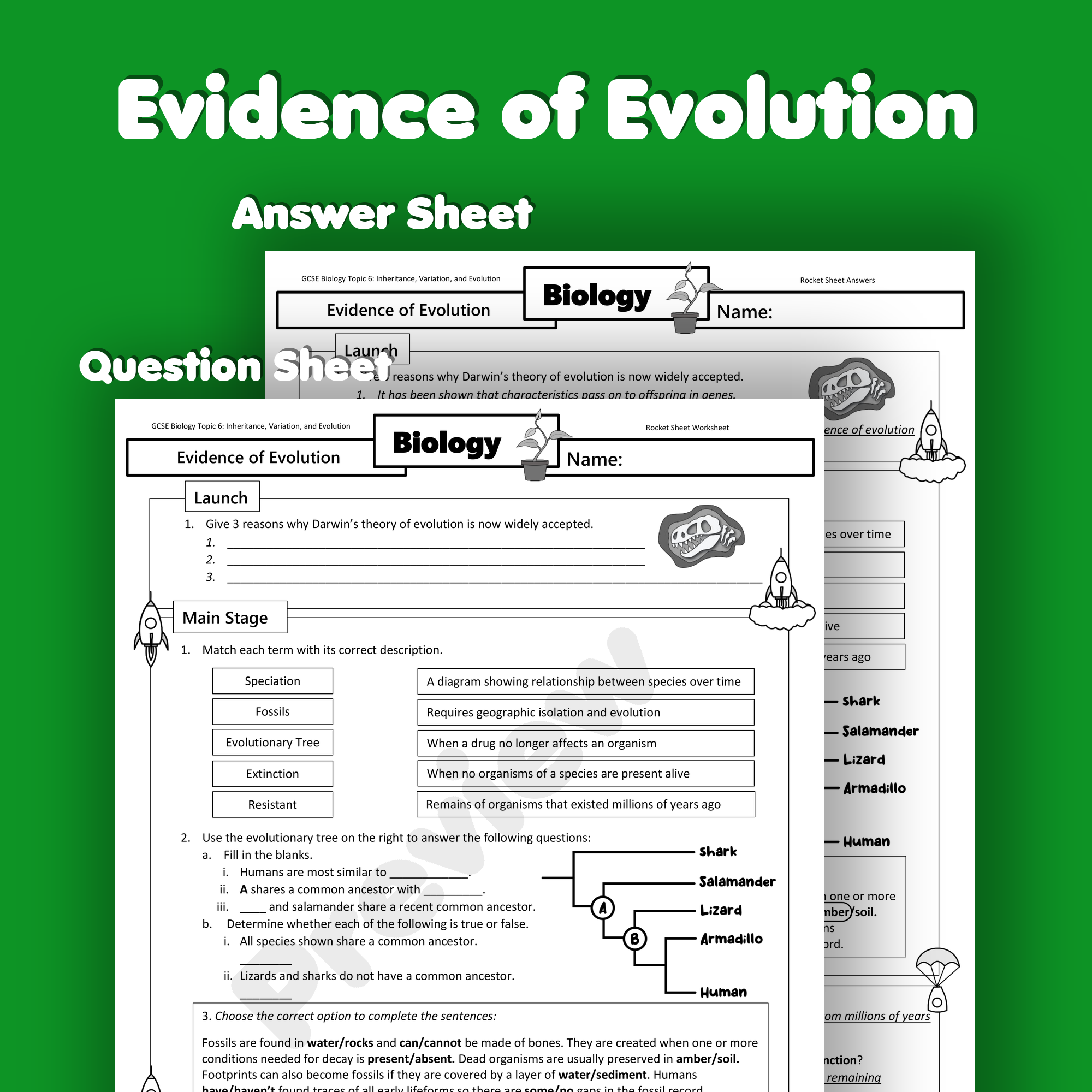 evidence of evolution worksheet