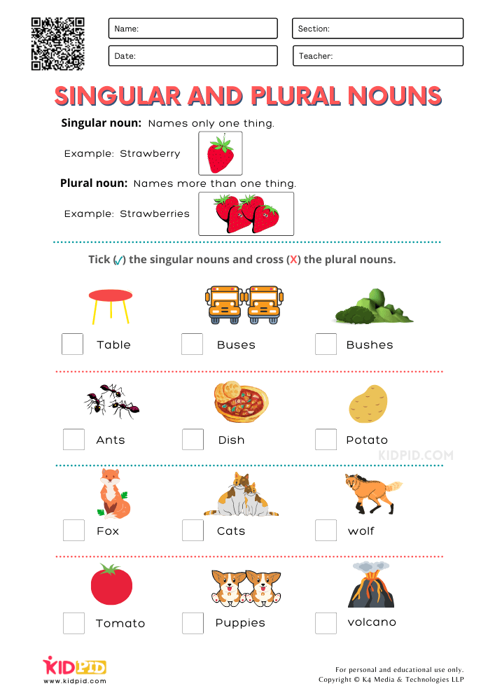 singular and plural nouns worksheet singular and plural nouns worksheet