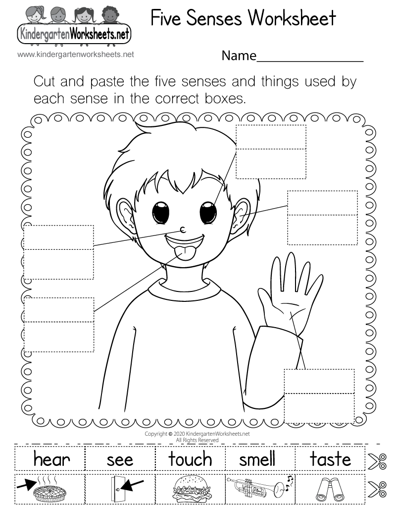 5 senses worksheets 5 senses worksheets