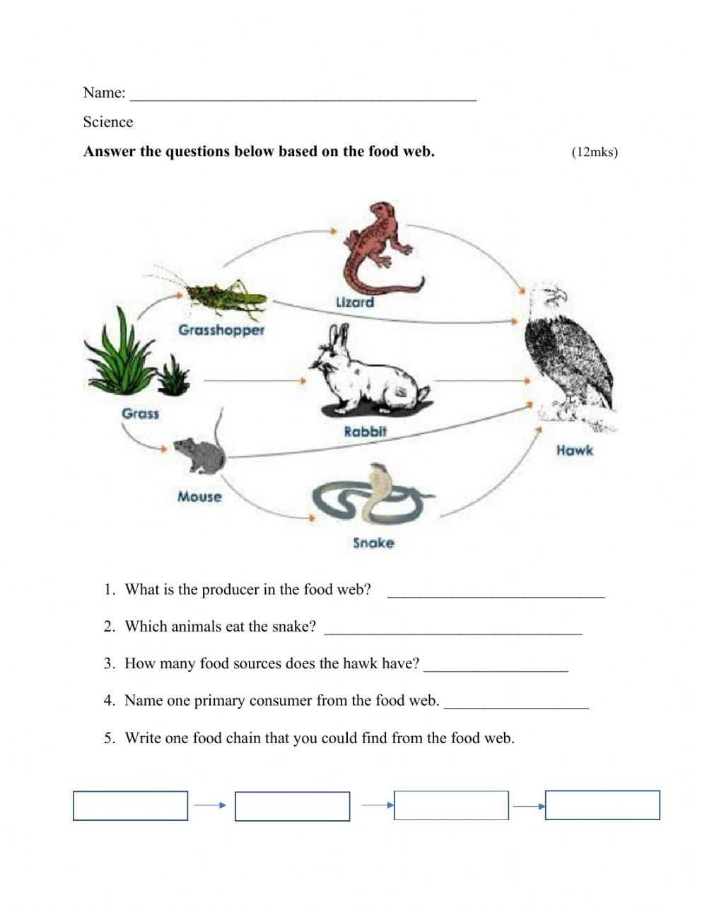 food web worksheet