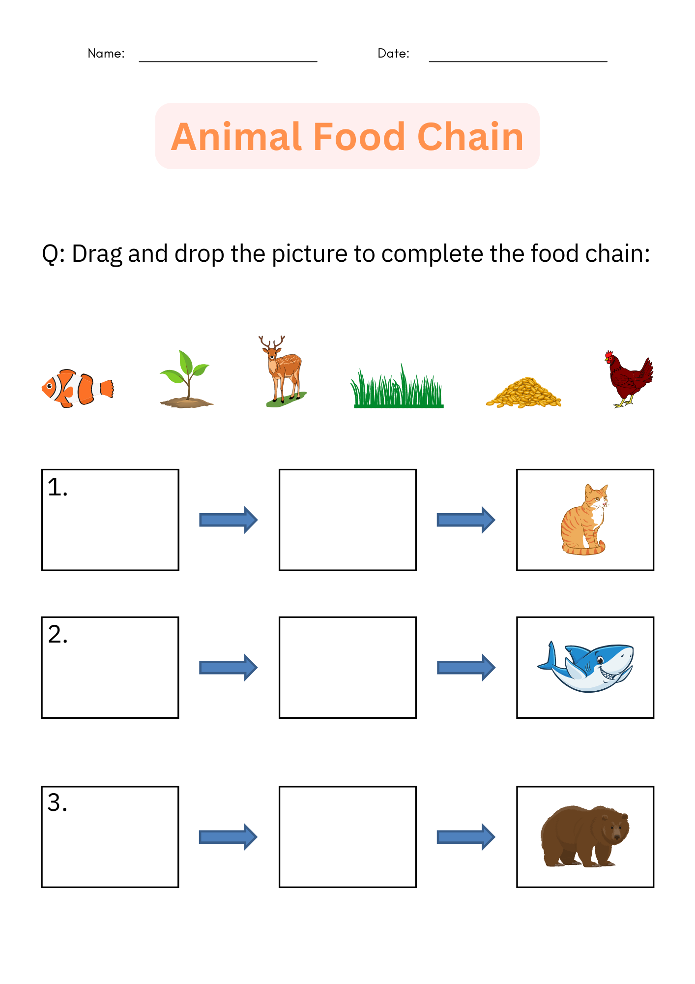 Food Chain Worksheet Complete The Chain Activity teacher Made 
