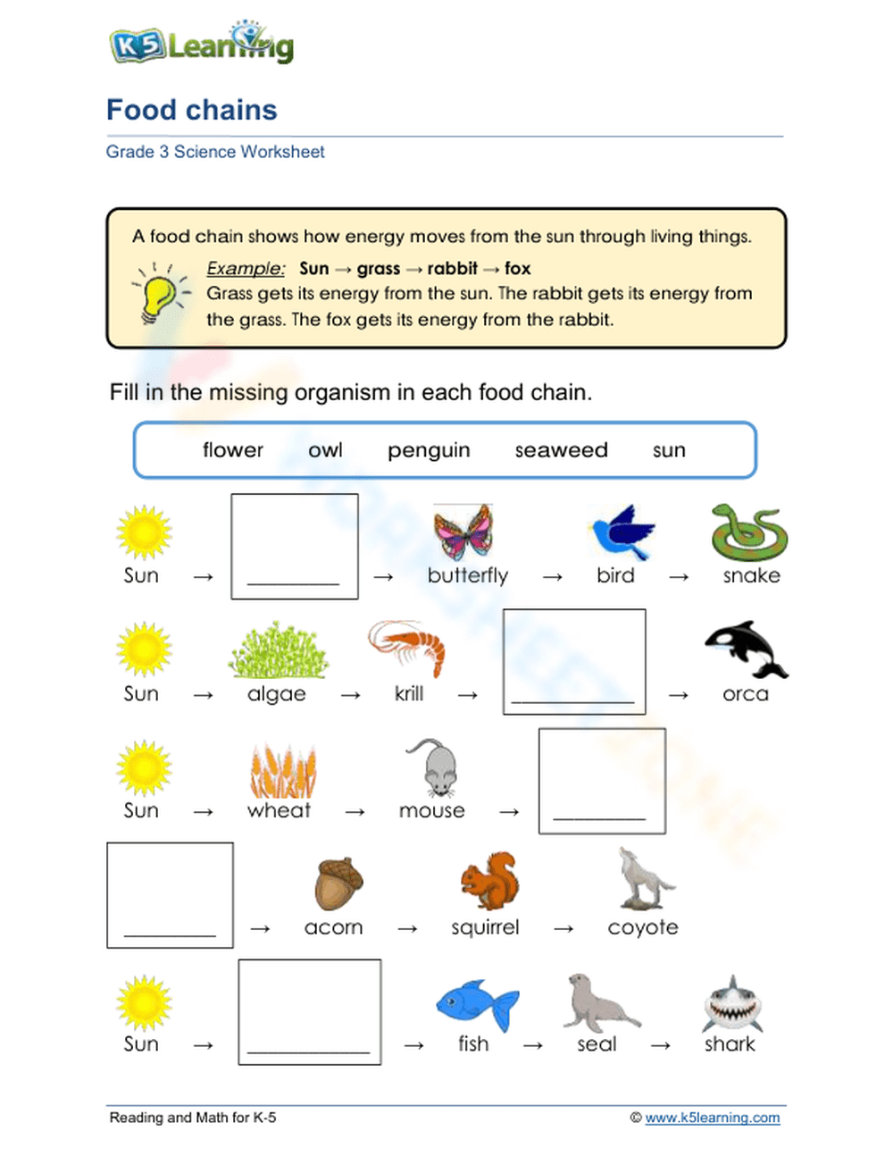 Food Chains Worksheet Worksheets Library