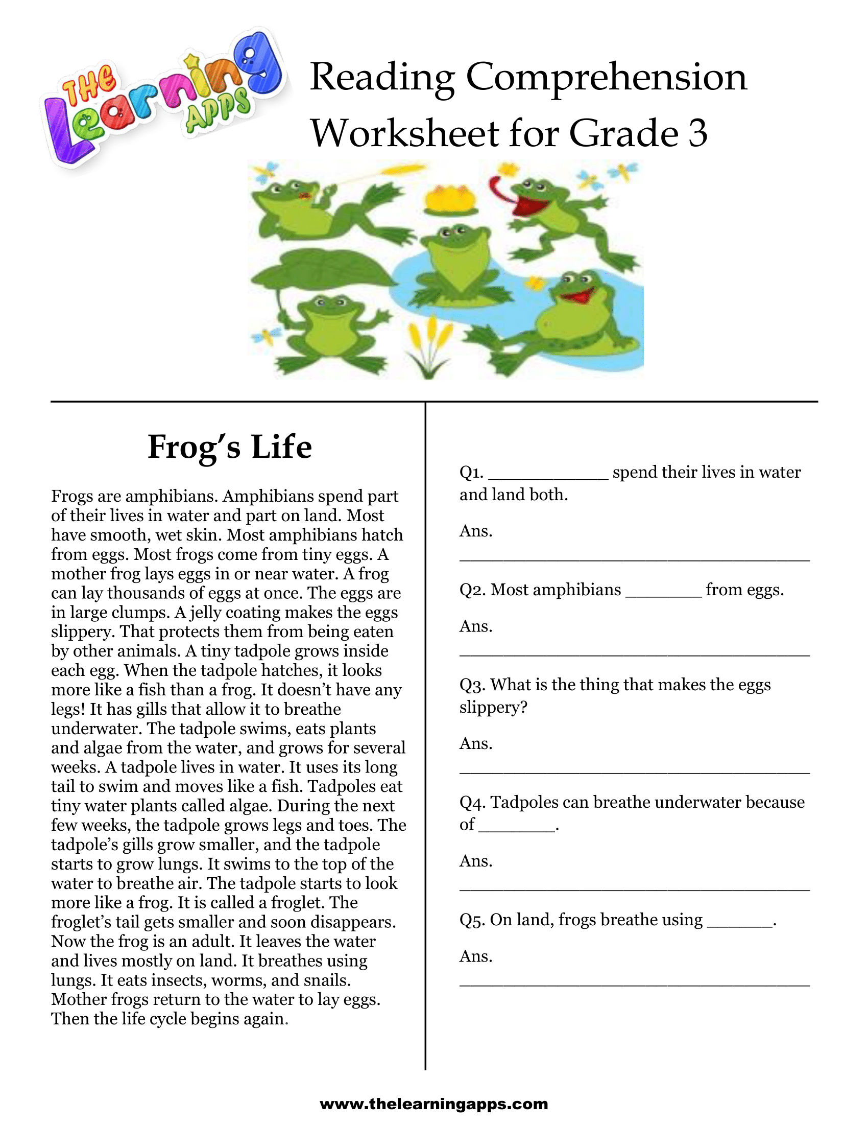 Free 3rd Grade Reading Comprehension Worksheets