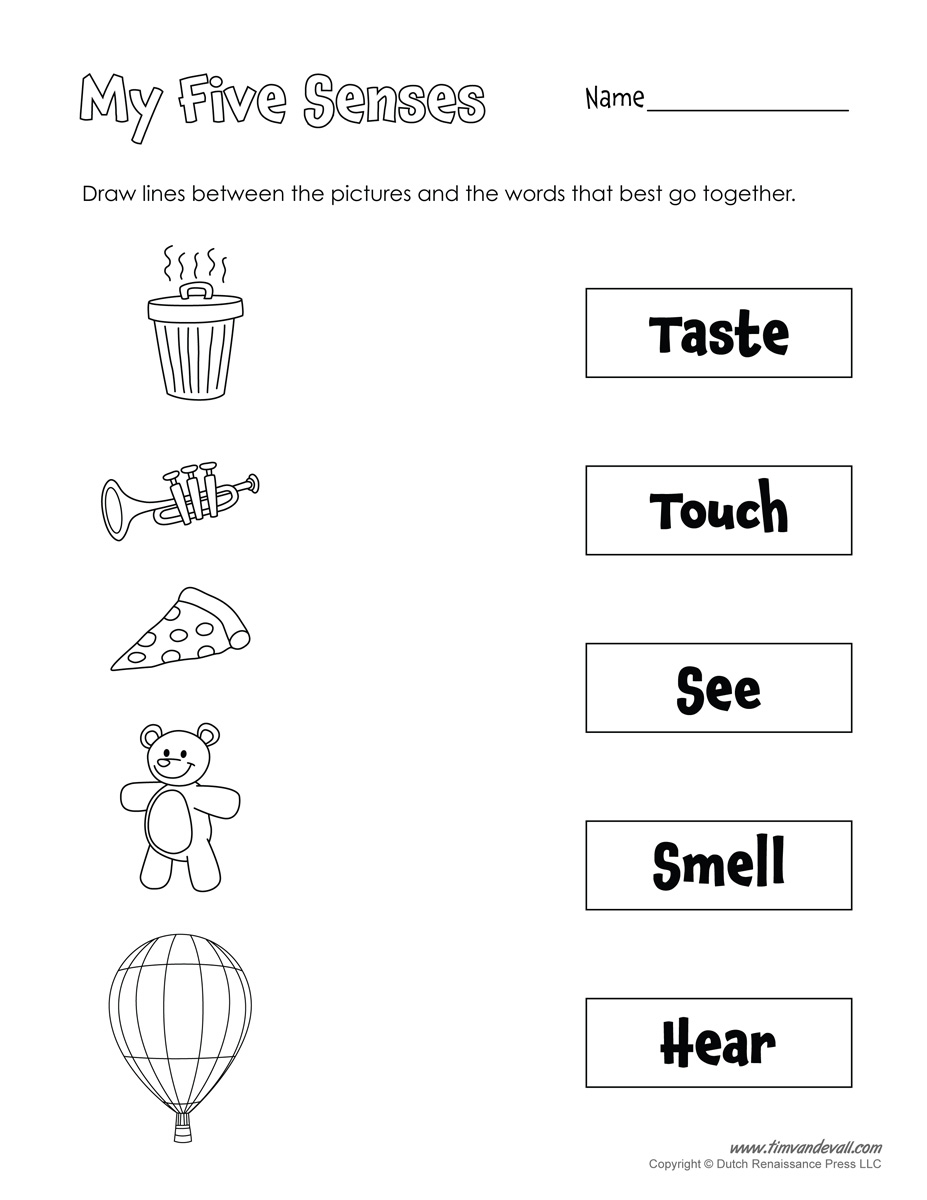 5 senses worksheet