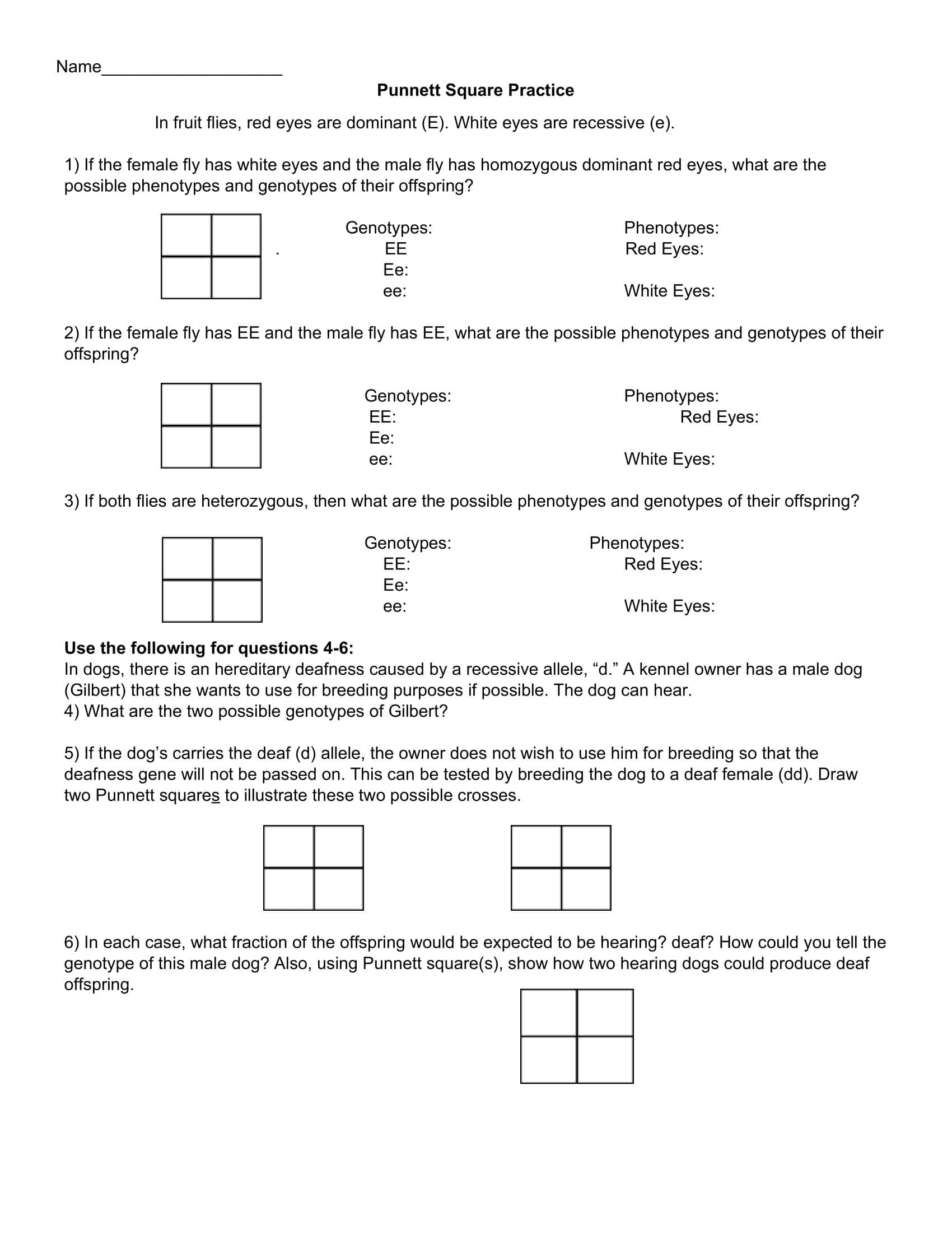 Free Printable Punnett Square Practice Worksheets Your Guide To Free Printable Punnett Square Practice Worksheets Your Guide To