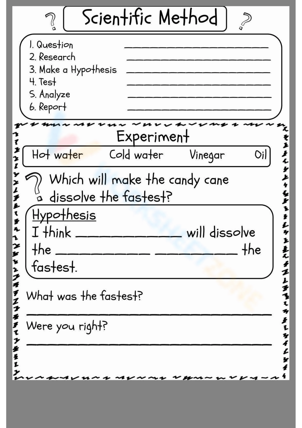 3rd grade science worksheets