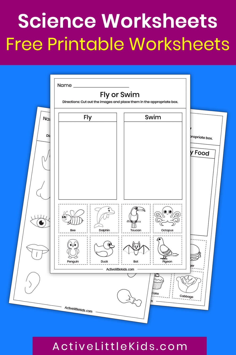 Free Science Worksheets For Kindergarten Active Little Kids