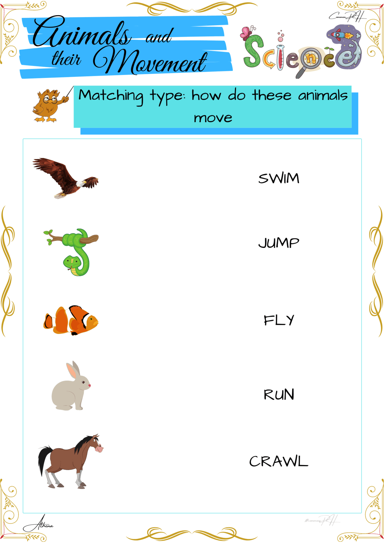 science worksheets for grade 1 science worksheets for grade 1